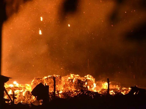 Video: así se incendió una papelera en Melchor Romero