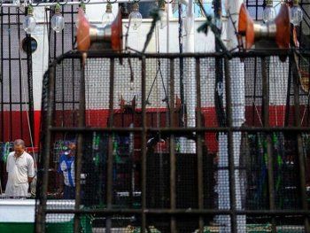 Mar del Plata: se descompensó en alta mar y debió ser evacuado