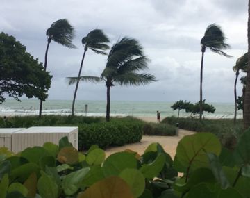 Turistas relatan la difícil situación que se vive en Miami a pocas horas de la llegada del huracán Matthew