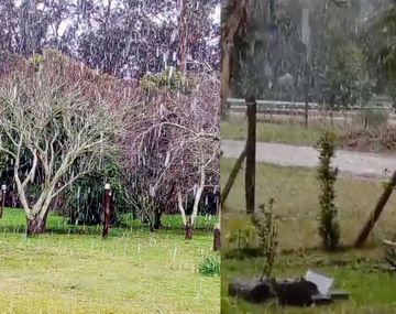 Llegó la nieve a la Costa de Buenos Aires: los videos en Miramar y Mar del Plata