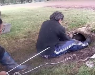 Espectacular rescate de cachorros