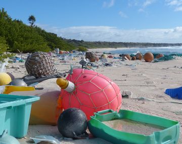 La isla de Henderson es el lugar con más contaminación del mundo