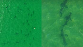 Captura del video de Maximiliano Facundo Cartes Salas. Captura del video de Maximiliano Facundo Cartes Salas.