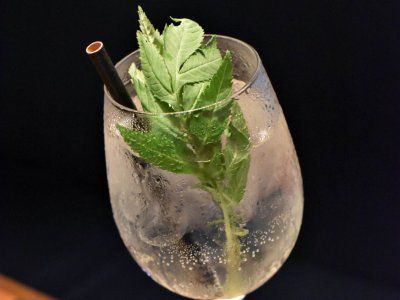 Día del bartender: 8 recetas de cócteles de autor para hacer en casa