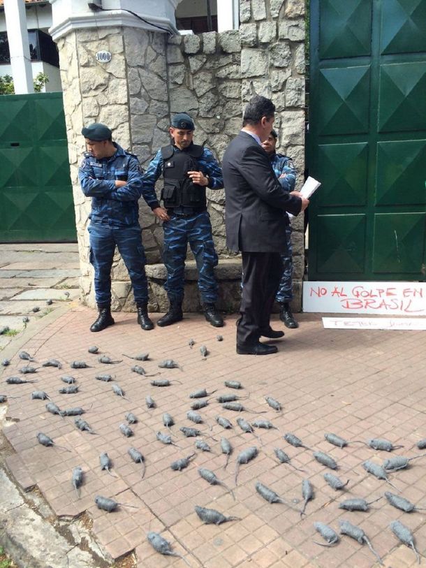 Una ingeniosa protesta en la puerta de Olivos