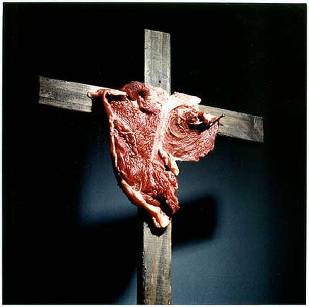 Carne Web 2