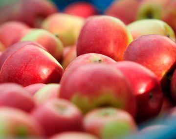 ¿Cuántas tartas se pueden hacer con las manzanas regaladas en la plaza?