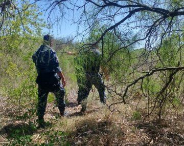 Eliana fue asfixiada con bollos de pañuelos de papel tissue