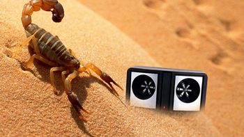 Espanta alacranes, lo que se ofrece en la web Espanta alacranes, lo que se ofrece en la web