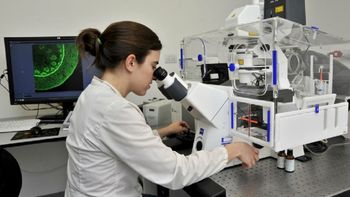 ciencia realizo una adjudicacion de subsidios ciencia realizo una adjudicacion de subsidios