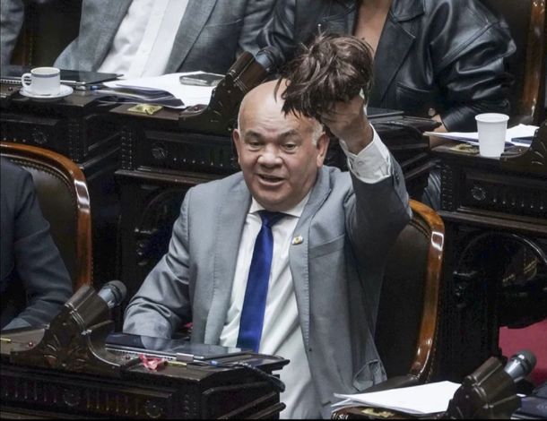 Quién es Aldo Leiva, el diputado con peluca que votó contra los vetos de Javier Milei