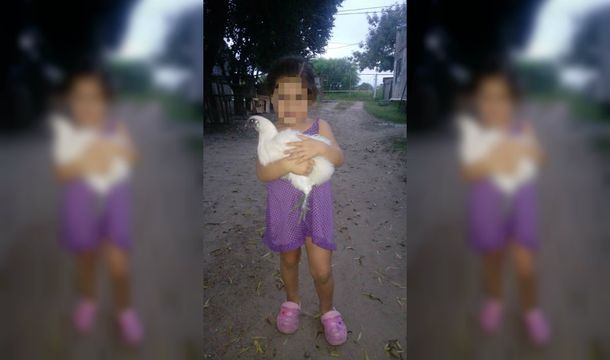 El pedido desesperado de una madre para que le devuelvan la gallina que le robaron a su hija