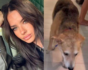Yanina Latorre asegura que uno de los perros de la China Suárez acaba de morir de forma trágica