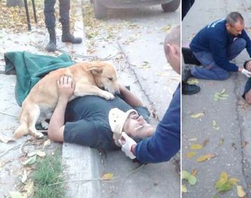 Un perro cuidó a su sueño luego de un accidente