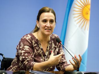 Piden a la AFIP información sobre los donantes de SUMA, la ONG de Michetti