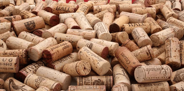 El corcho en la heladera