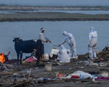 El dramático relato de un argentino sobre la crisis sanitaria en India: Esto es una catástrofe