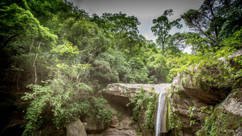 El destino en medio de la selva para ver animales, caminar y conectar con la naturaleza El destino en medio de la selva para ver animales, caminar y conectar con la naturaleza