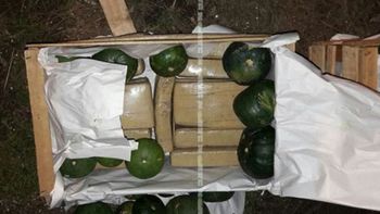 Hallan droga en cajas de Zapallitos. Foto de Gendarmería Nacional Hallan droga en cajas de Zapallitos. Foto de Gendarmería Nacional