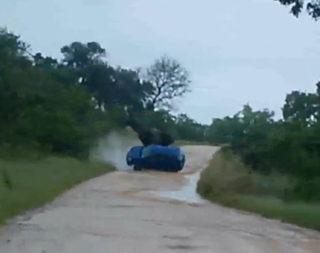 Un elefante enojado vuelca un auto con turistas