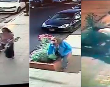 Ni las plantas se salvan: le robaron hasta el cantero