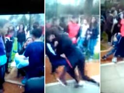 batalla campal en pilar: trompadas, patadas, robos y destrozos en un parque batalla campal en pilar: trompadas, patadas, robos y destrozos en un parque
