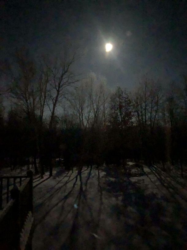 Superluna de nieve: así se la vio en la Argentina