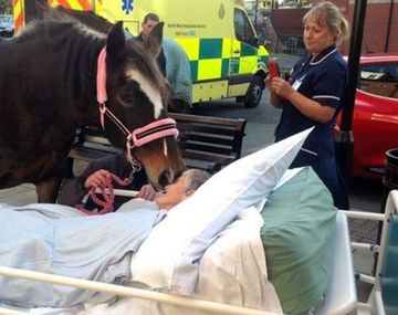 La despedida entre una mujer y su caballo