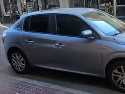 Murió un perro al que olvidaron dentro del auto en pleno centro de Rosario: la dueña fue increpada