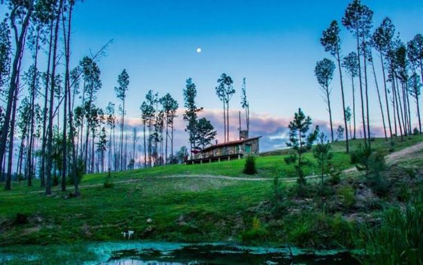 Un pequeño pueblo rodeado de bosques