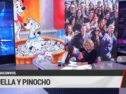 Sin la caja de Cositorto, ahora Viviana Canosa se la agarró hasta con los perros dálmata