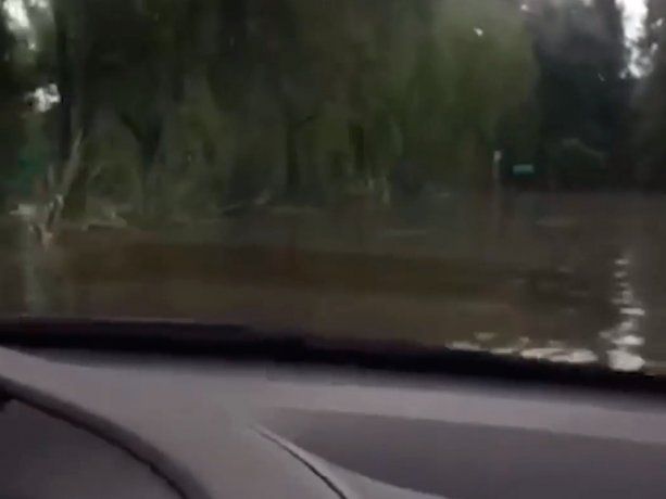 Malena se nos está quedando el auto... rezá, pedile a Dios, versiones del viral que estalla en TikTok