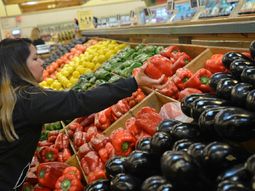 El 60% de los fondos fueron utilizados para comprar carne, lácteos, frutas y verduras