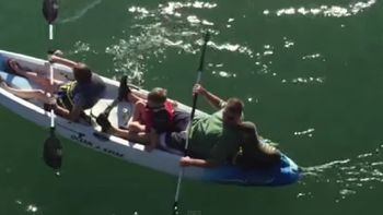 paseaban con su canoa y un tierno lobo marino bebe se sumo al recreo familiar paseaban con su canoa y un tierno lobo marino bebe se sumo al recreo familiar