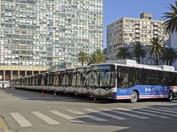 Cutcsa tiene previsto para el 2050 tener el 100% de los omnibus eléctricos. Cutcsa tiene previsto para el 2050 tener el 100% de los omnibus eléctricos.