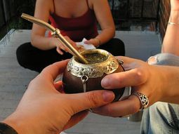 confirmado: el mate hace bien a la salud confirmado: el mate hace bien a la salud