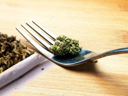 Comer o fumar: diferentes formas de consumir marihuana