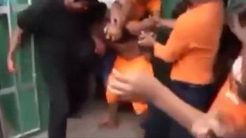 Una multitud ahorcó a un abusador en una plaza de Bolivia. Una multitud ahorcó a un abusador en una plaza de Bolivia.