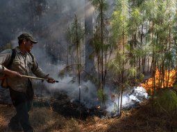 La pesadilla no termina: cinco focos de incendios en Corrientes