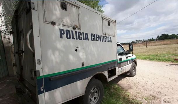 Mar del Plata: asesinaron a un hombre y su cadáver fue devorado por perros