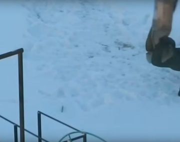 Un peleador contra una alfombra