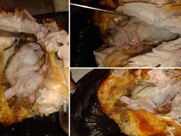 hallo una rata muerta dentro de un pollo hallo una rata muerta dentro de un pollo