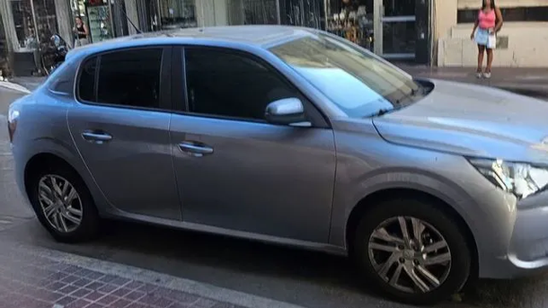 Murió un perro al que olvidaron dentro de un auto en pleno centro de Rosario: la dueña fue increpada