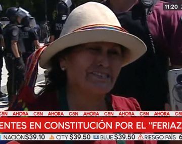 El llanto de una productora en el verdurazo de Constitución: Le sacaron el pan de la boca a mis hijos
