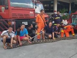 Hallan una serpiente de 8 metros en un bar