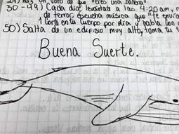 Conmoción en Entre Ríos: un joven murió tras jugar a la Ballena Azul
