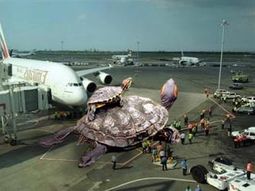 Invasion-tortugas Invasion-tortugas