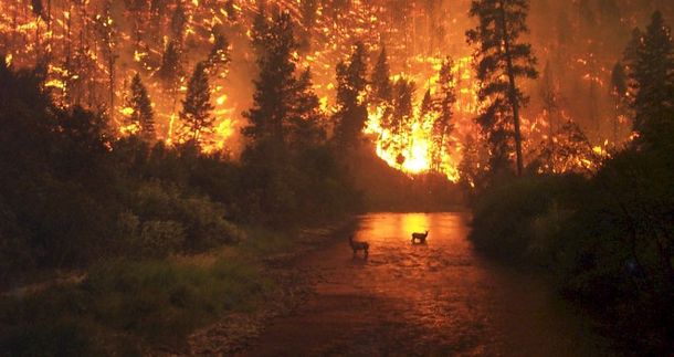 Los incendios más trágicos en la historia de Chile