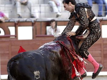Un torero está muy grave tras recibir una cornada en Madrid