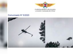 Video del chancho: la Fuerza Aérea Uruguaya está efectuando una investigación
